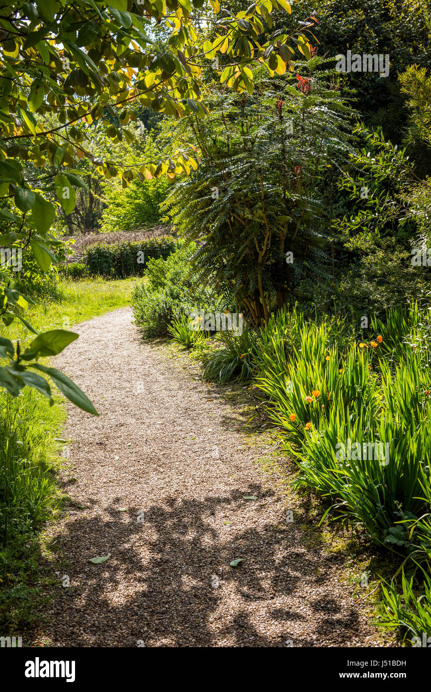 Nymans Gärten, West Sussex, UK Stockfoto
