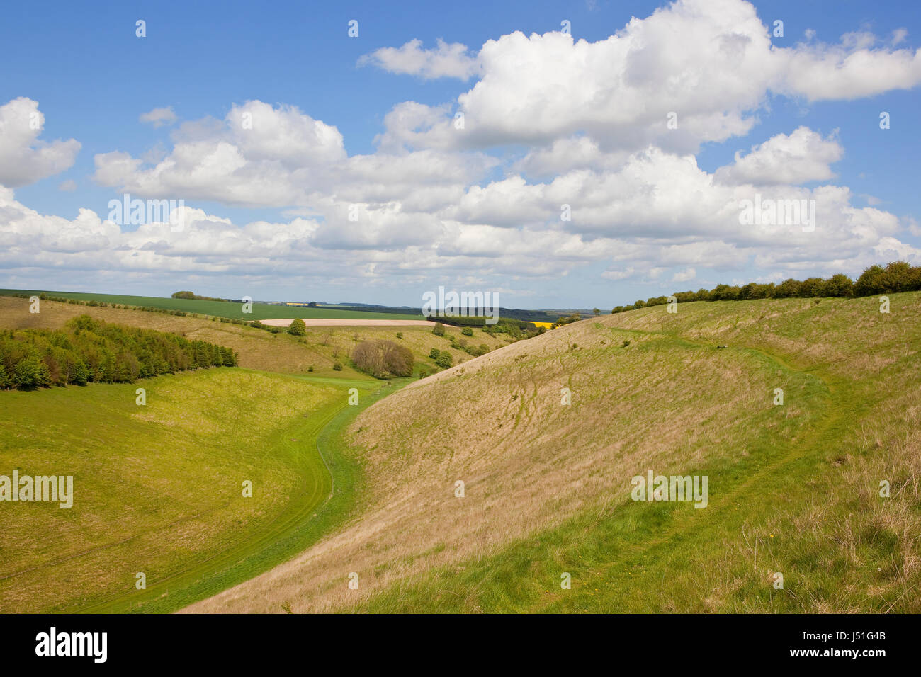 ein grünes Tal mit Weide und Wald in den malerischen Yorkshire Wolds mit Fuß- und Kulturen unter einem blauen bewölkten Himmel im Frühjahr Weiden Stockfoto