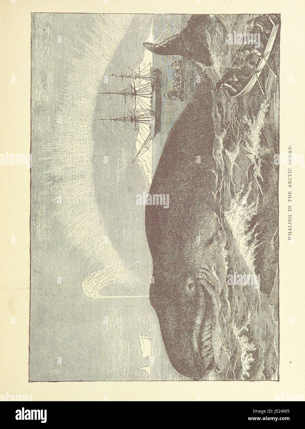 „Zickzag Journeys in Australia“ ist ein Reisebuch, das Australien anhand einer Reihe detaillierter Illustrationen erkundet und dem Leser Einblicke in die Geographie, Tierwelt und Kulturlandschaft des Landes bietet. Stockfoto