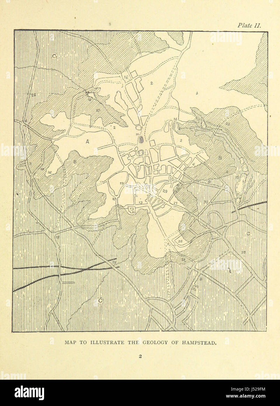 Hampstead Hill: seine Struktur, Materialien, und Bildhauerei... Mit der Flora von Hampstead, von H. T. Wharton... Die Insektenfauna von Hampstead, von... F. A. Walker... und die Vögel von Hampstead von J. E. Harting Stockfoto