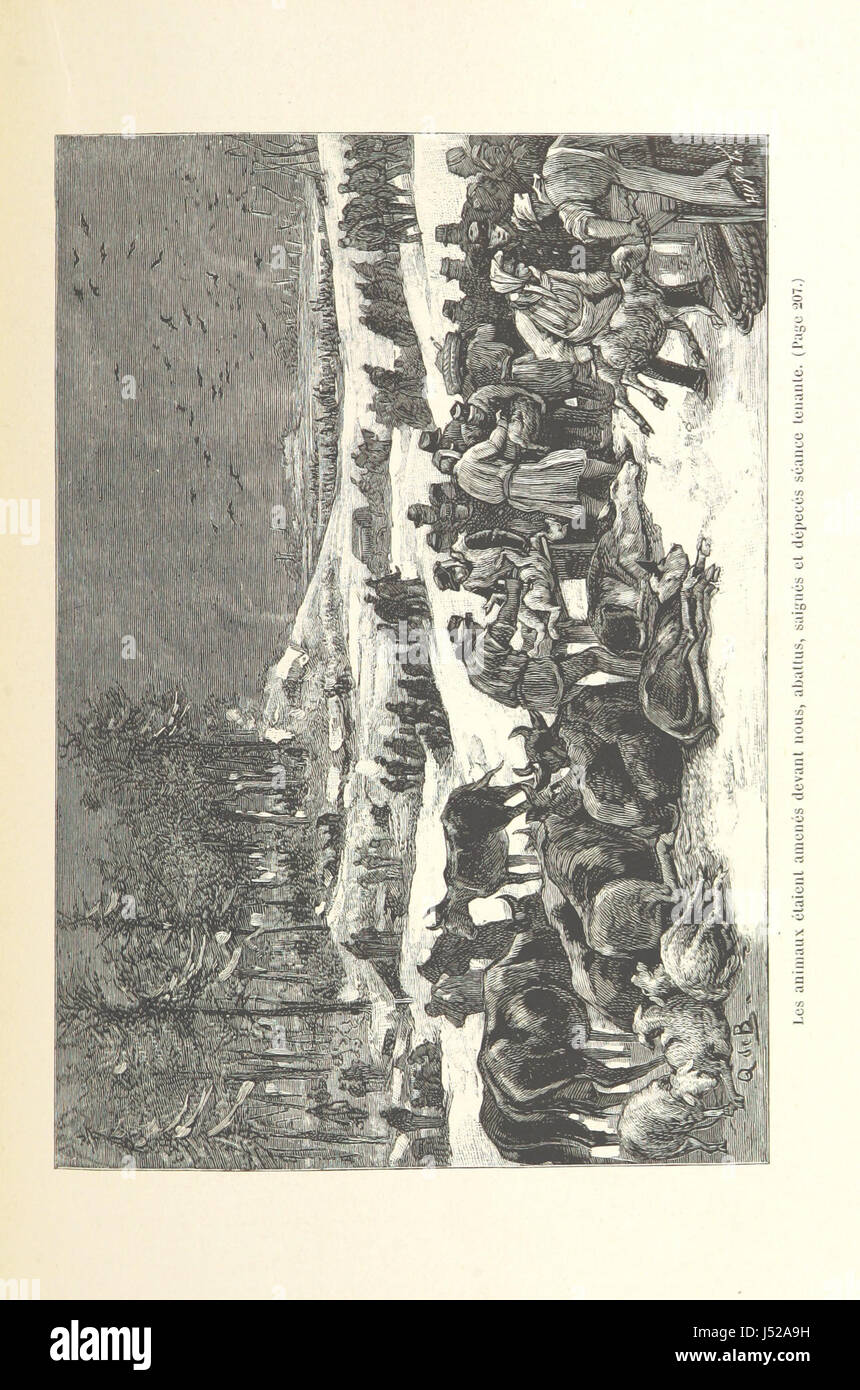 La Retraite Infernale, Armée De La Loire, 1870-1871... Ouvrage Illustré de 26 Gravuren... par Quesnay de Beaurepaire, et d ' une Carte, etc. Stockfoto