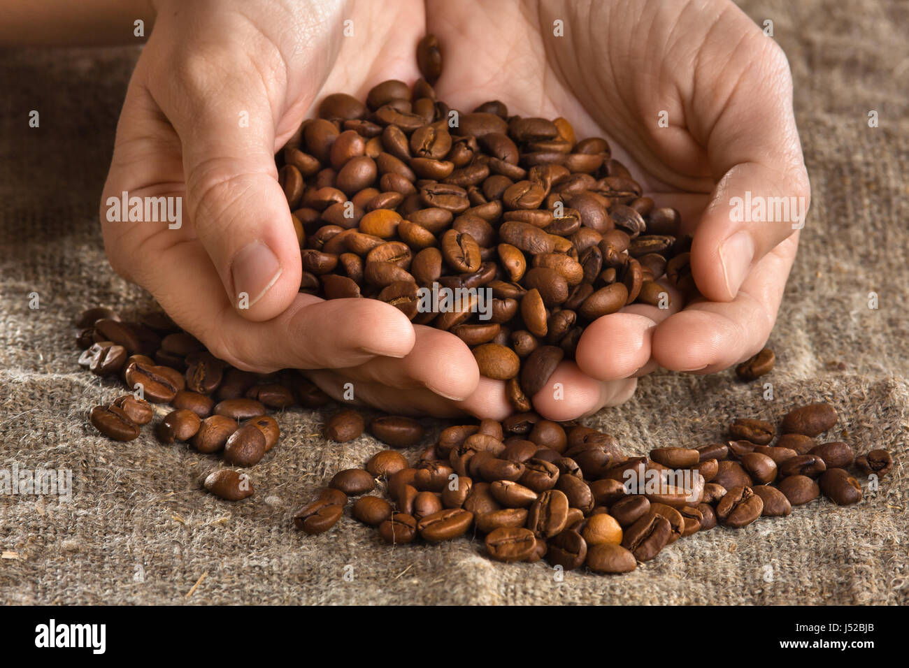 Frau Hände halten Handvoll geröstete Kaffeebohnen Stockfoto