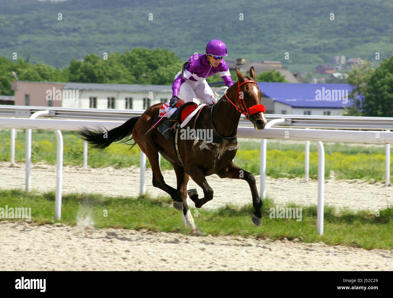 Lauffeuer der Jockeys in Pferderennen. Stockfoto