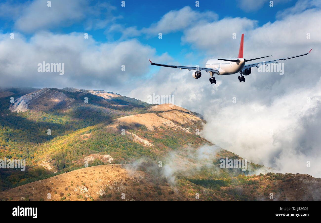 Flugzeug. Landschaft mit weißen Passagierflugzeug fliegt über die Berge, grüne Wälder und Wolken bei Sonnenuntergang. Reise. Passagierflugzeug Stockfoto