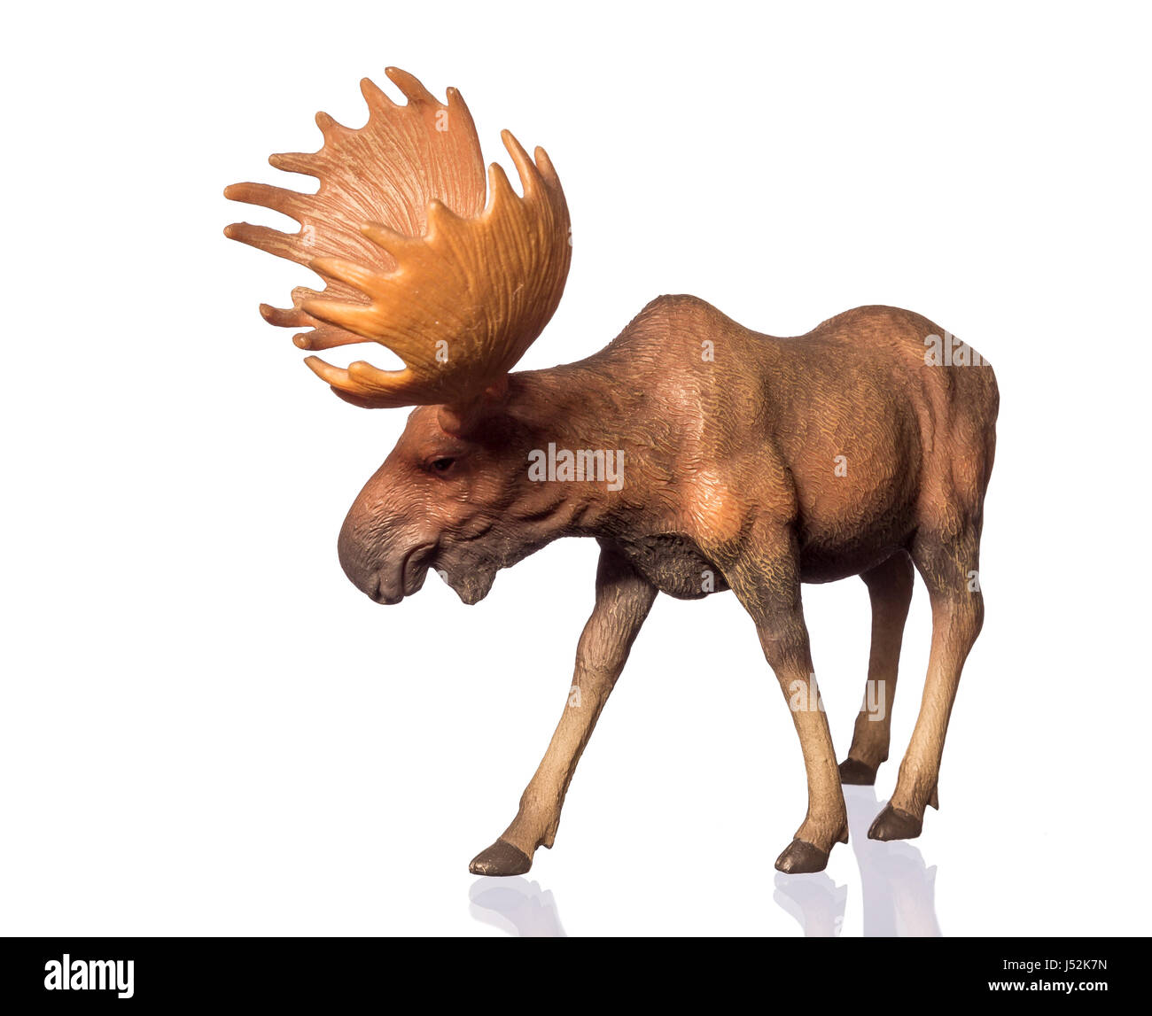 Abbildung von einem Elch Stockfoto