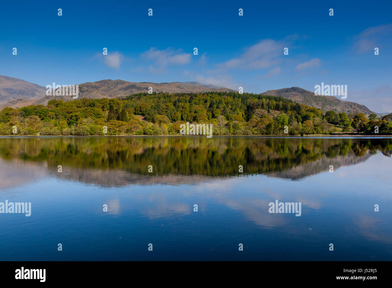 Reflexionen von hohen Wachen Holz in Coniston Water, in der Nähe von Coniston, Lake District, Cumbria Stockfoto