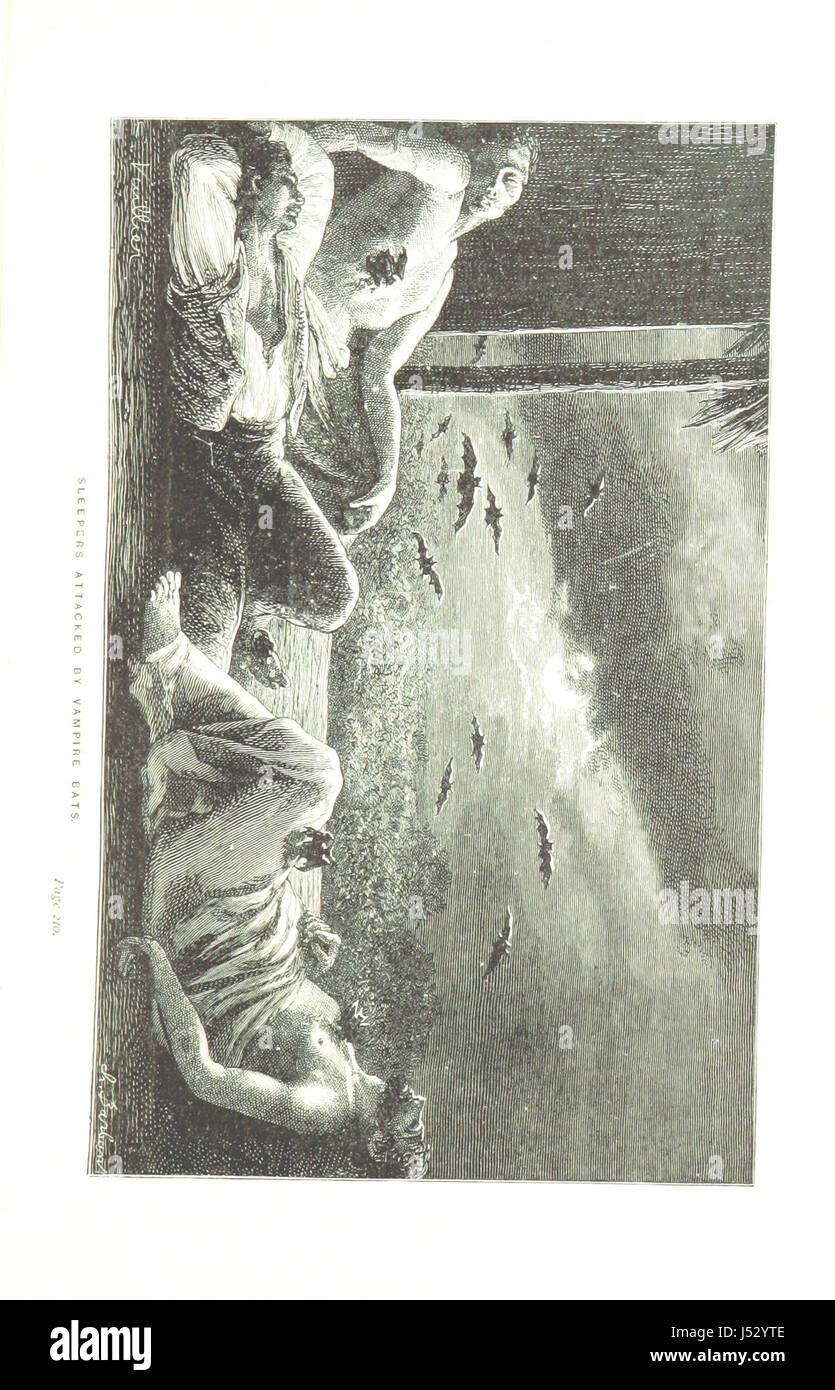 [Wanderungen in Südamerika... Mit einer Einführung von Norman Moore.] Stockfoto