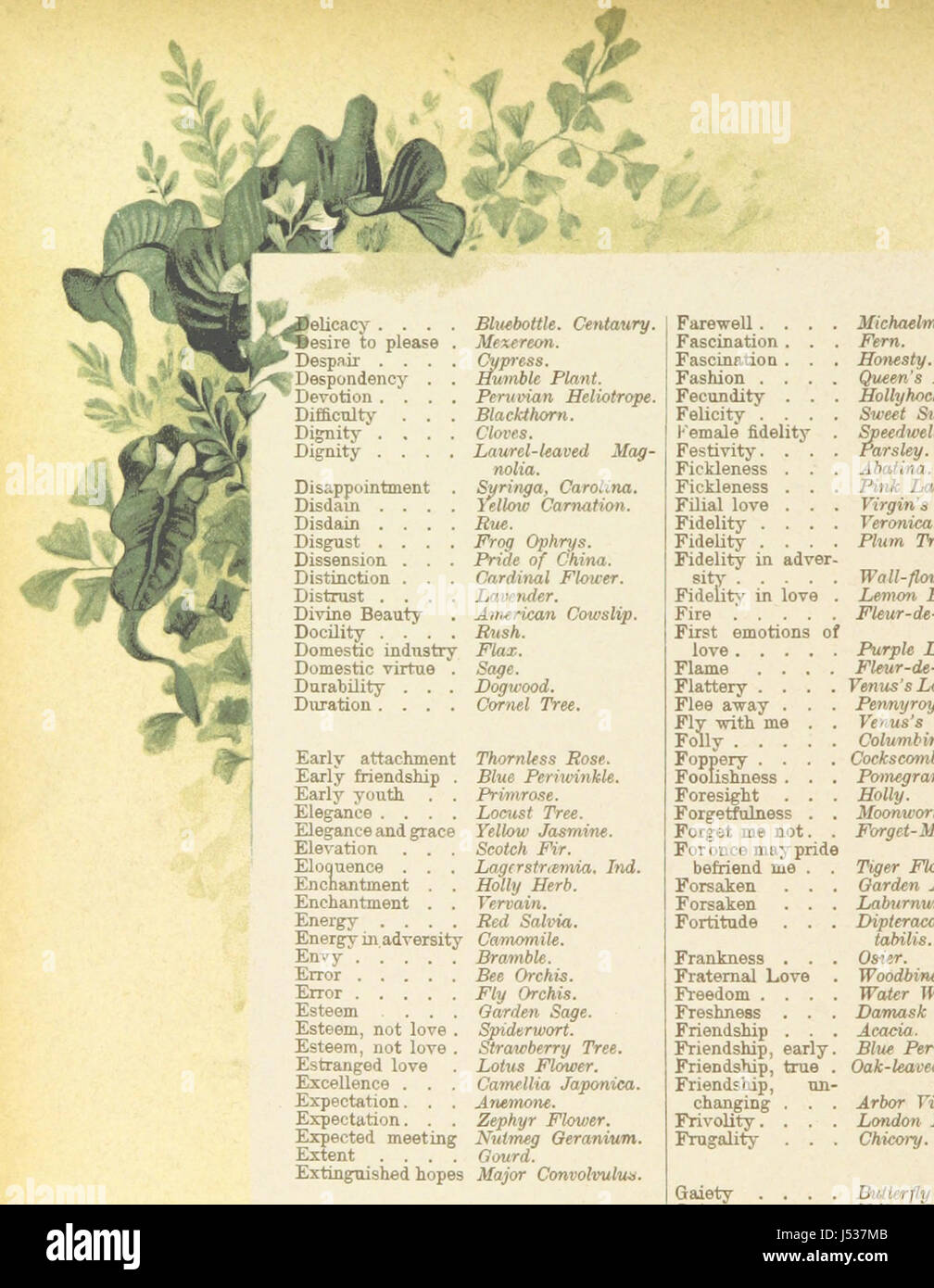 Die künstlerische Sprache der Blumen. [Mit Abbildungen.] Stockfoto