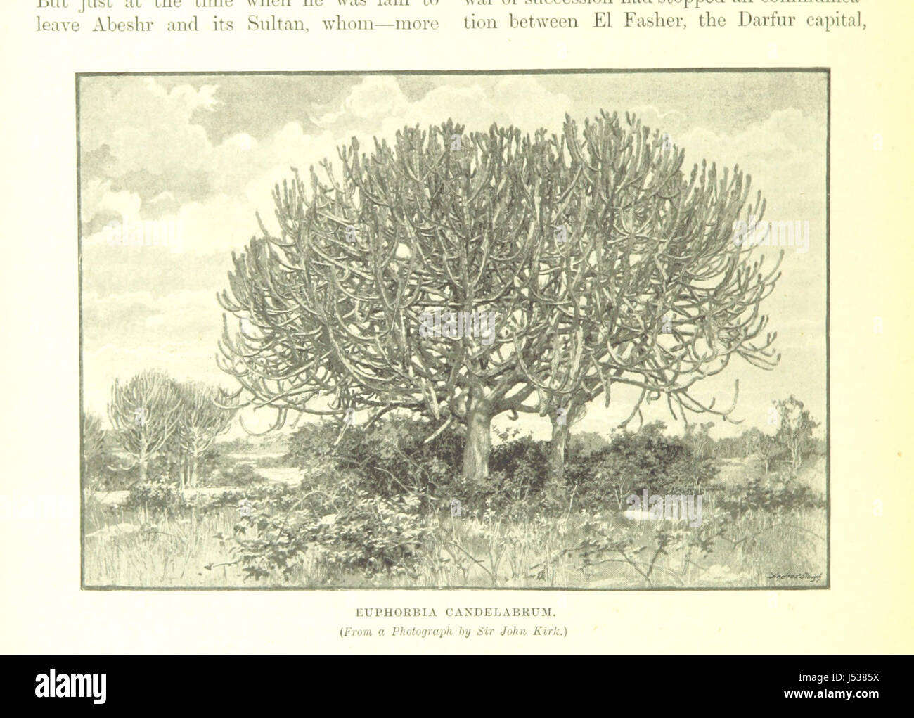 Die Geschichte von Afrika und seine Entdecker. [Mit Platten und Karten