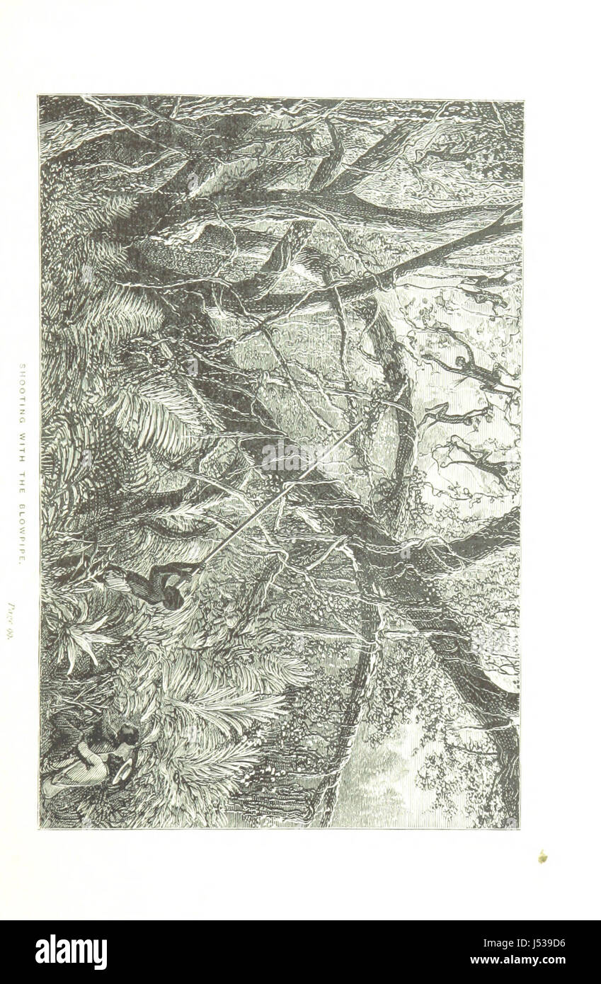 [Wanderungen in Südamerika... Mit einer Einführung von Norman Moore.] Stockfoto