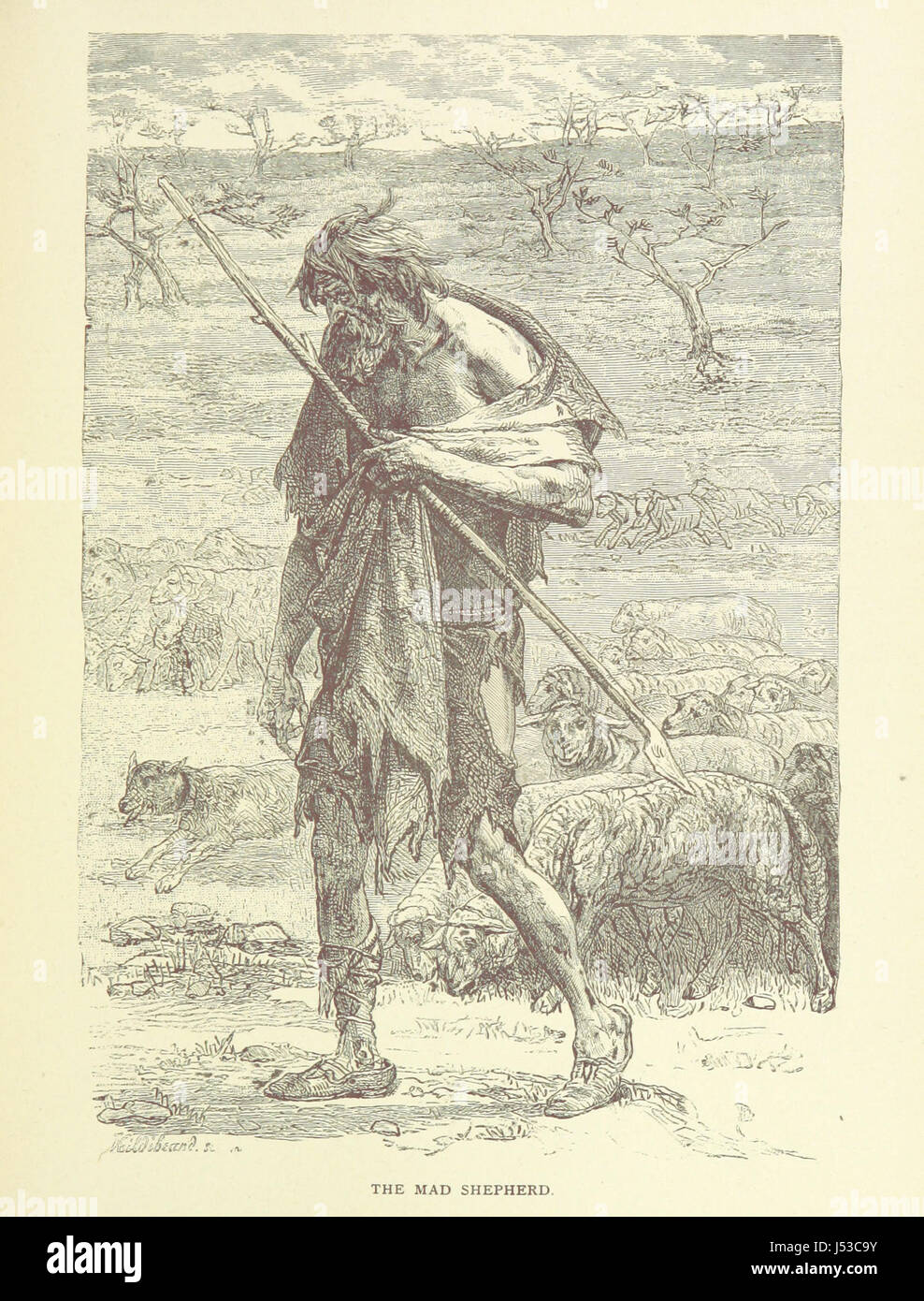 „Zickzack Journeys in Australia“ bietet einen detaillierten und illustrierten Bericht über die Reisen des Autors durch Australien, die Landschaften, die Tierwelt und die Kultur Australiens erkunden. Stockfoto