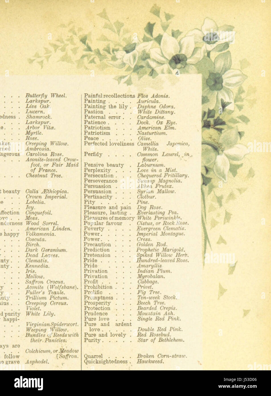 Die künstlerische Sprache der Blumen. [Mit Abbildungen.] Stockfoto