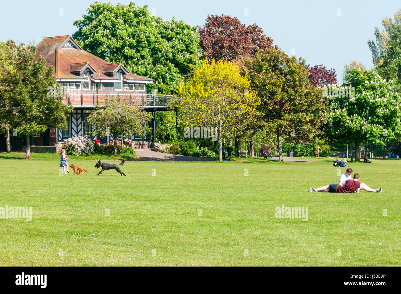 Menschen entspannen in Preston Park auf 63 Hektar einer der größten öffentlichen Parks in Brighton. Stockfoto
