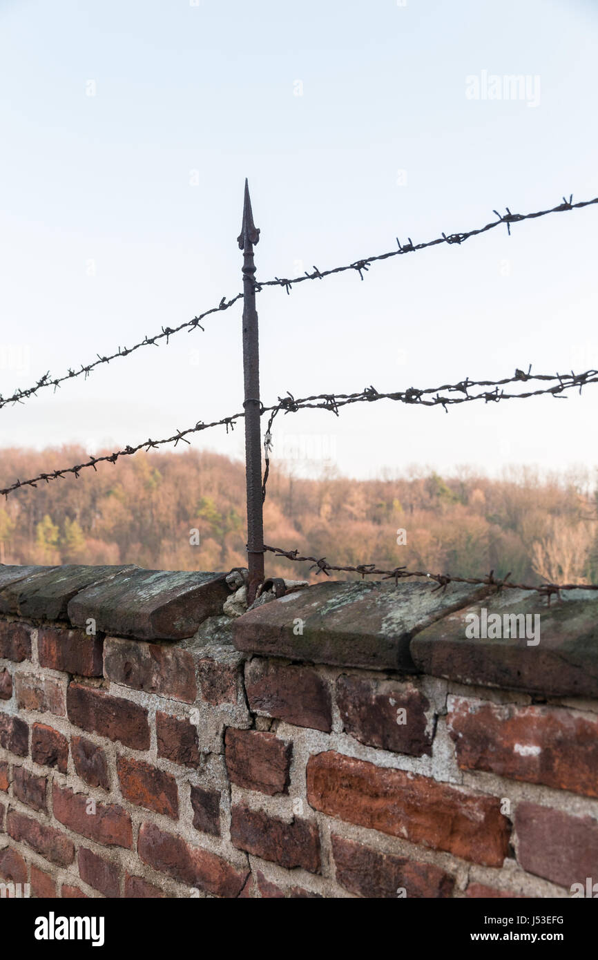 Rote Mauer mit Stacheldraht, Detail. Stockfoto