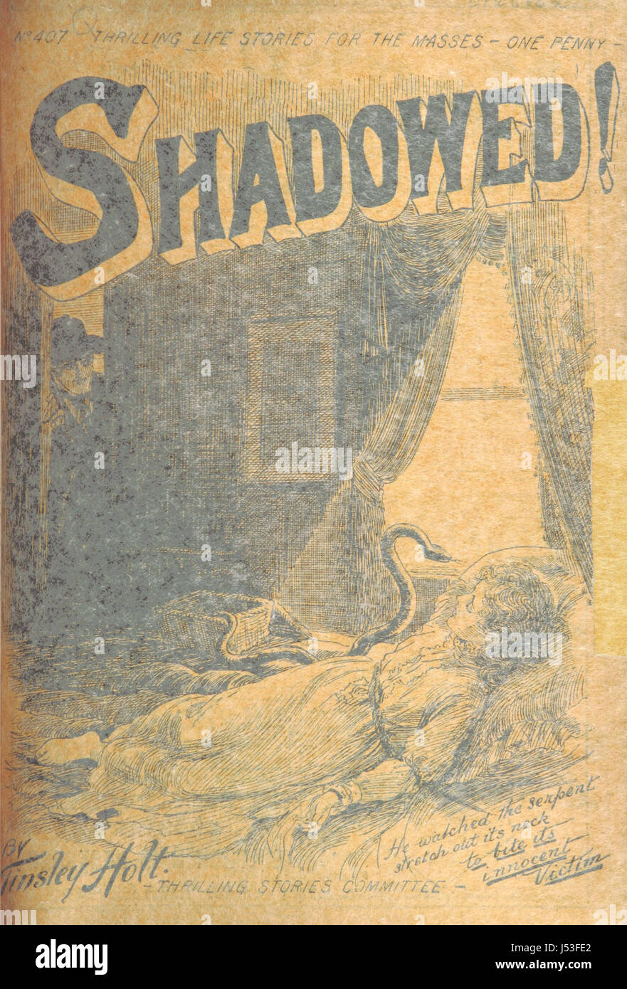 Dabei handelt es sich um eine Art Literatur oder Erzählkunst, die ein breites Publikum in ihren Bann ziehen soll und spannende, oft dramatische Darstellungen von persönlichen Leben oder Erlebnissen bietet, die unterhalten oder inspirieren sollen. Stockfoto