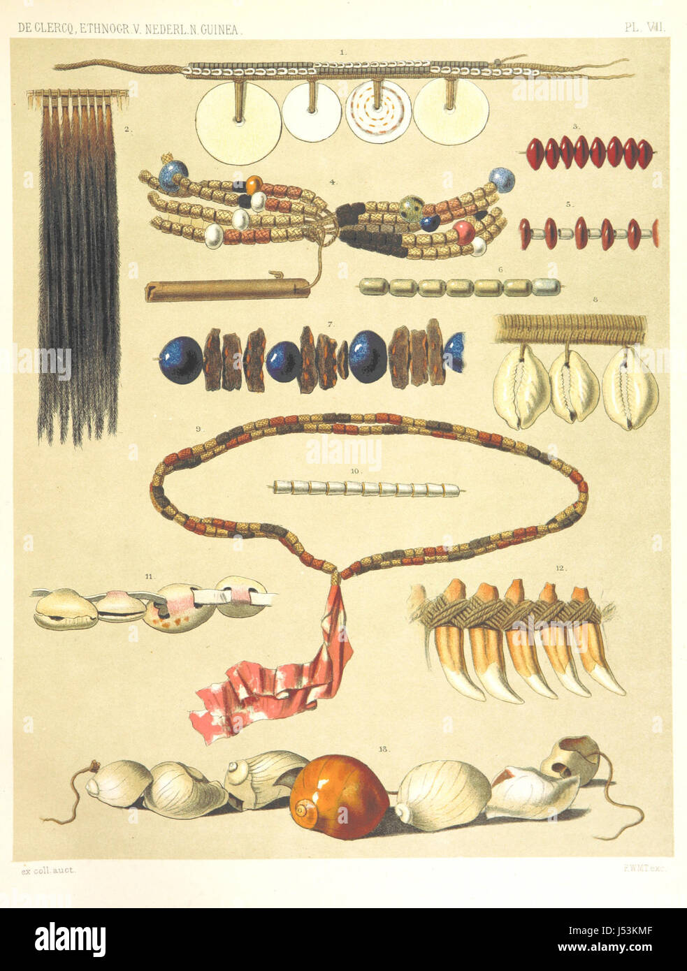 Ethnographische Beschrijving van de West-de Naturinformationszentrum von Nederlandsch Nieuw-Guinea Tür F. S. A. de Clercq, traf Medewerking van J. D. E. Schmeltz... Met Bijvoeging Eener Schets der Ethnographie van Duitsch de Britsch Nieuw-Guinea. Trafen sich 42 Walze En 51 tekstillustraties Stockfoto