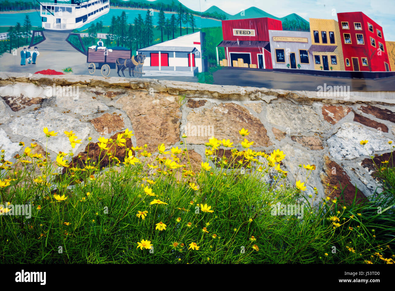 Arkansas Ozark Mountains, Calico Rock, Hauptstraße, Blume, Blume, Wandgemälde, öffentliche Kunst, kleine Stadt, AR080603029 Stockfoto