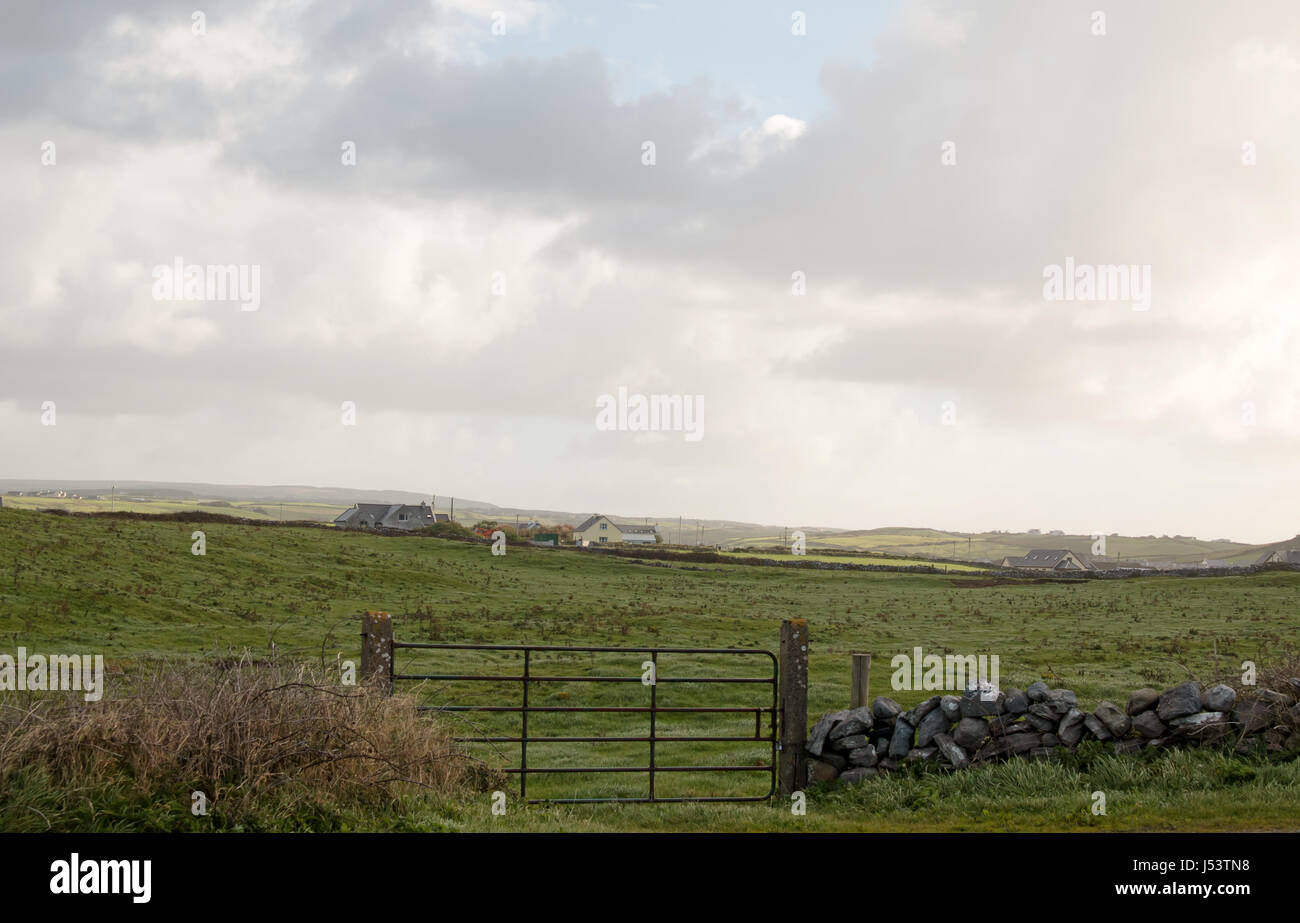 Feld mit Bauernhof und Steinmauer, Irland Stockfoto