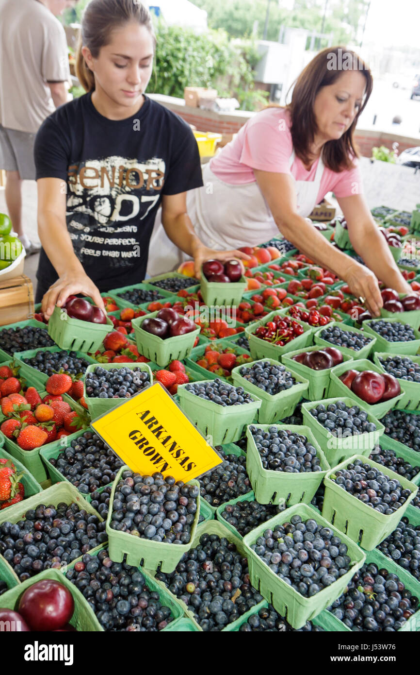 Little Rock Arkansas, River Market, Bauernmarkt, lokal angebaute Produkte, Käufer, Verkäufer, Frau weibliche Frauen, Teenager Teenager Teenager Student Stockfoto