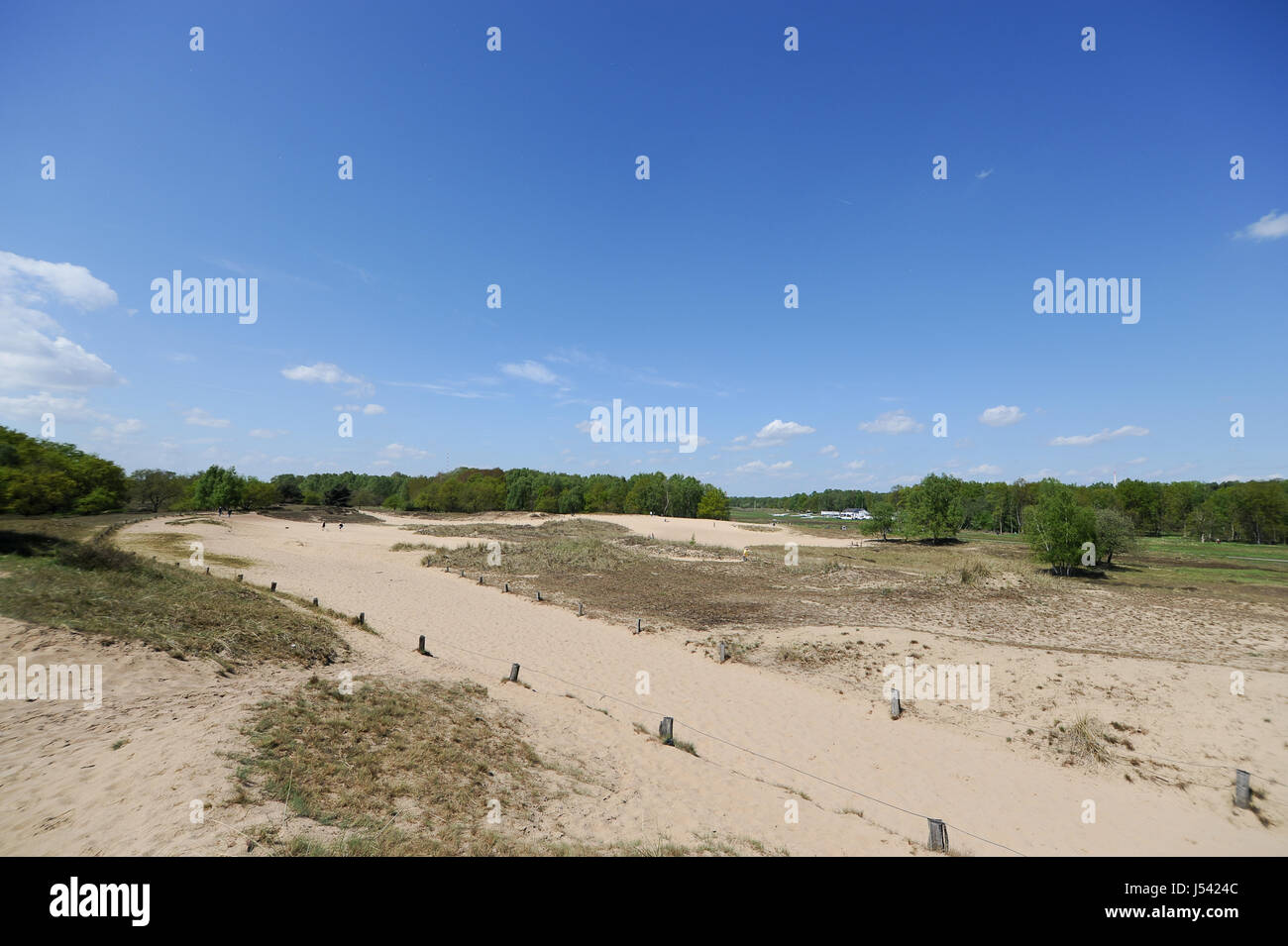 Landschaft der Boberger Dünen oder Boberger Duenen im Süden westlich von Hamburg, Deutschland. Stockfoto