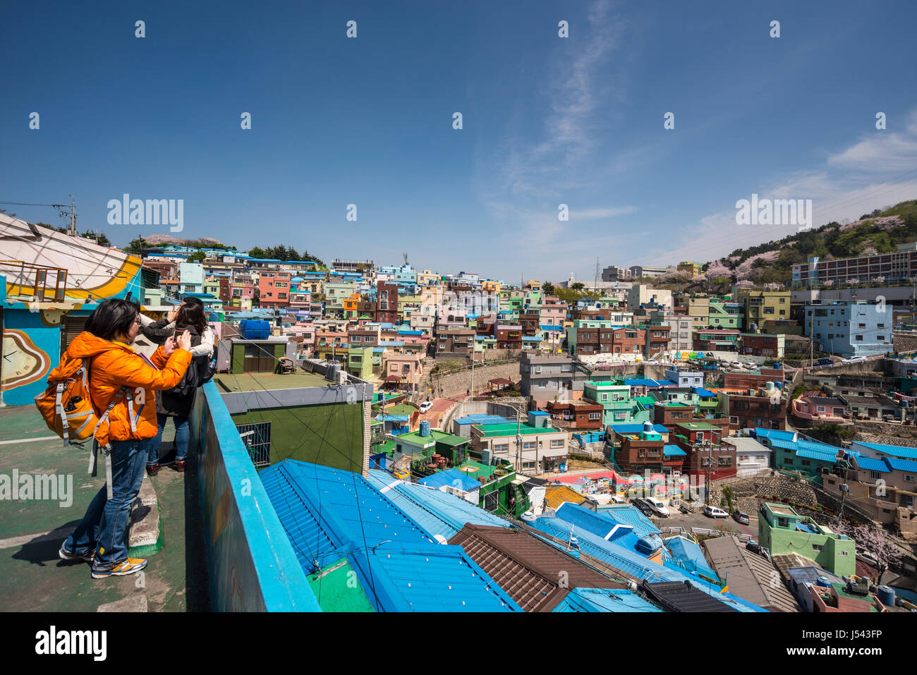 Ein Tourist die Fotos von bunt bemalten Häusern in Gamcheon Culture Village, Busan Gwanyeoksi, Südkorea Stockfoto