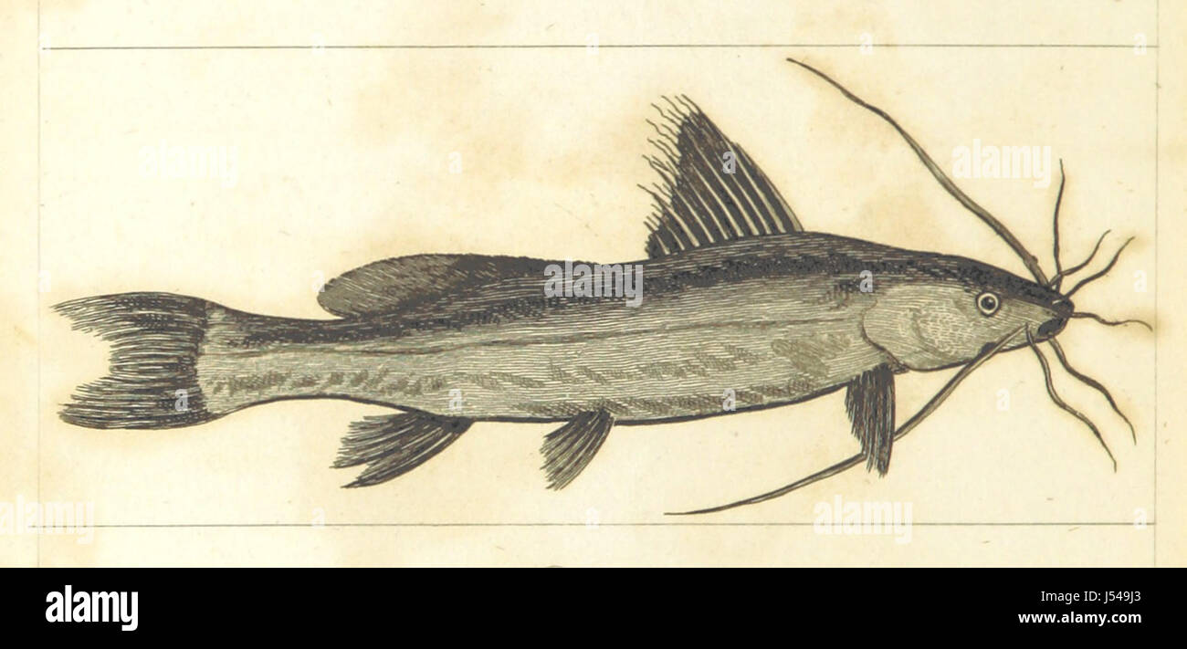 „Reisen in Ober- und Unterägypten“ ist ein Reisebericht, der mit Gravuren illustriert ist und die Erforschung Ägyptens durch den Autor beschreibt. Das Buch bietet Einblicke in die Kultur, Landschaften und Geschichte von Ober- und Unterägypten im 19. Jahrhundert. Stockfoto