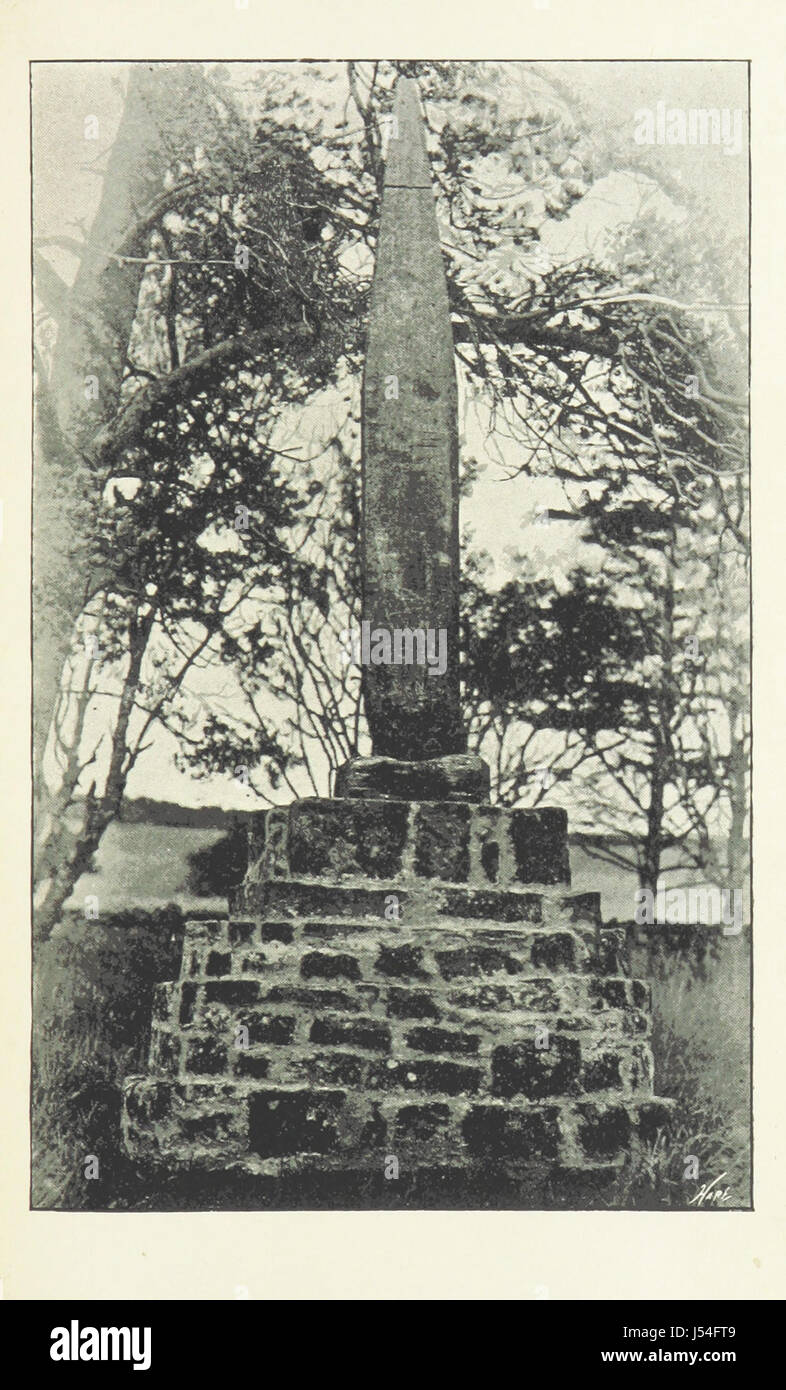 Diese Arbeit bietet einen detaillierten Einblick in die Geschichte, die Besonderheiten und die Menschen von Northumberland, einem englischen County, das für sein reiches kulturelles Erbe und historische Wahrzeichen bekannt ist. Stockfoto