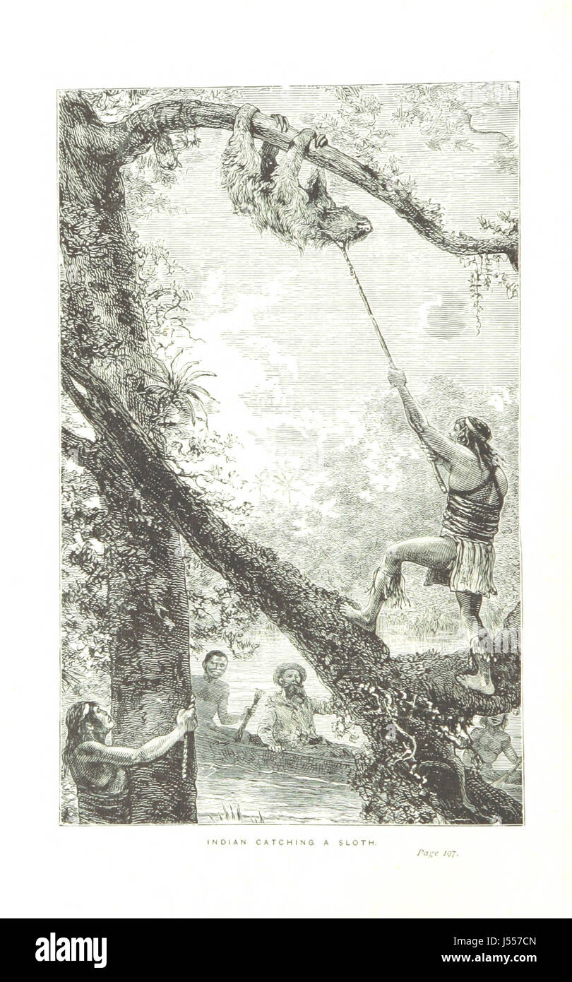 Dieses Bild stammt von Seite 8 von „Wanderungen in Südamerika“, einem Reisebuch, das Einblicke in die Landschaften, Kulturen und Völker Südamerikas bietet, mit einer Einführung von Norman Moore. Stockfoto