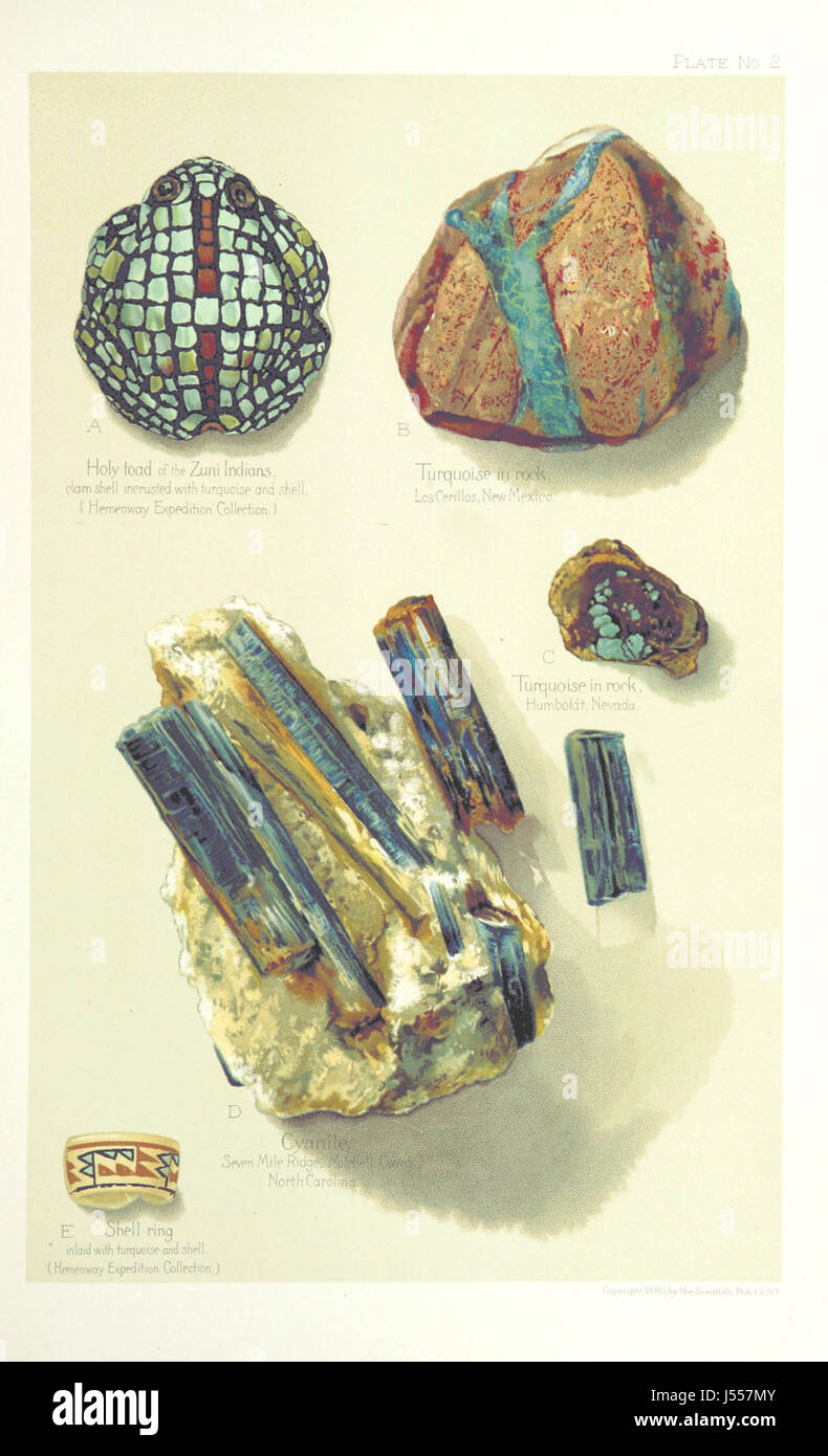 Diese zweite Ausgabe von Gems and Precious Stones of North America bietet detaillierte Informationen über die Mineralien und Edelsteine in Nordamerika. Das Buch enthält einen Anhang, der zusätzliche Einblicke in die Grundstücke, Bergbaustätten und die historische Bedeutung dieser Edelsteine bietet. Stockfoto