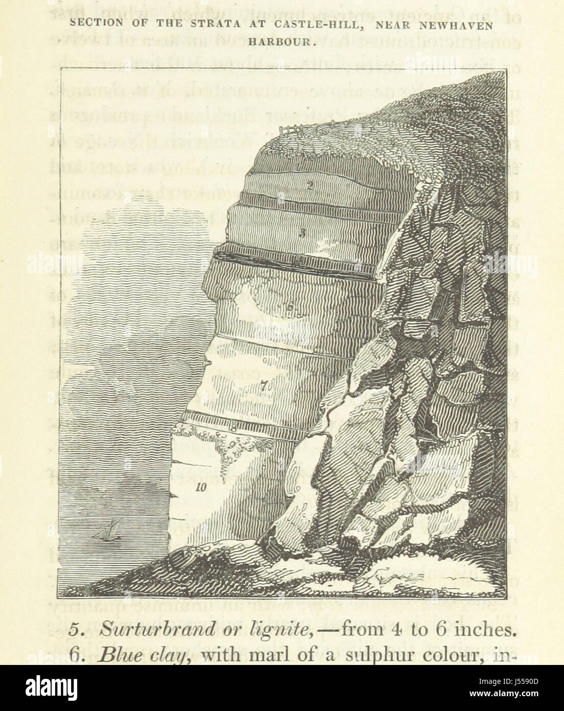 Dieses Bild, das auf Seite 85 von „The Geology of the South-East of England“ stammt, veranschaulicht die wichtigsten geologischen Merkmale der Region und bietet Einblick in ihre geologische Struktur und Geschichte. Sie dient als wertvolle Referenz für diejenigen, die sich mit der Geologie des Gebiets befassen. Stockfoto Dieses Bild, das auf Seite 85 von „The Geology of the South-East of England“ stammt, veranschaulicht die wichtigsten geologischen Merkmale der Region und bietet Einblick in ihre geologische Struktur und Geschichte. Sie dient als wertvolle Referenz für diejenigen, die sich mit der Geologie des Gebiets befassen. Stockfoto