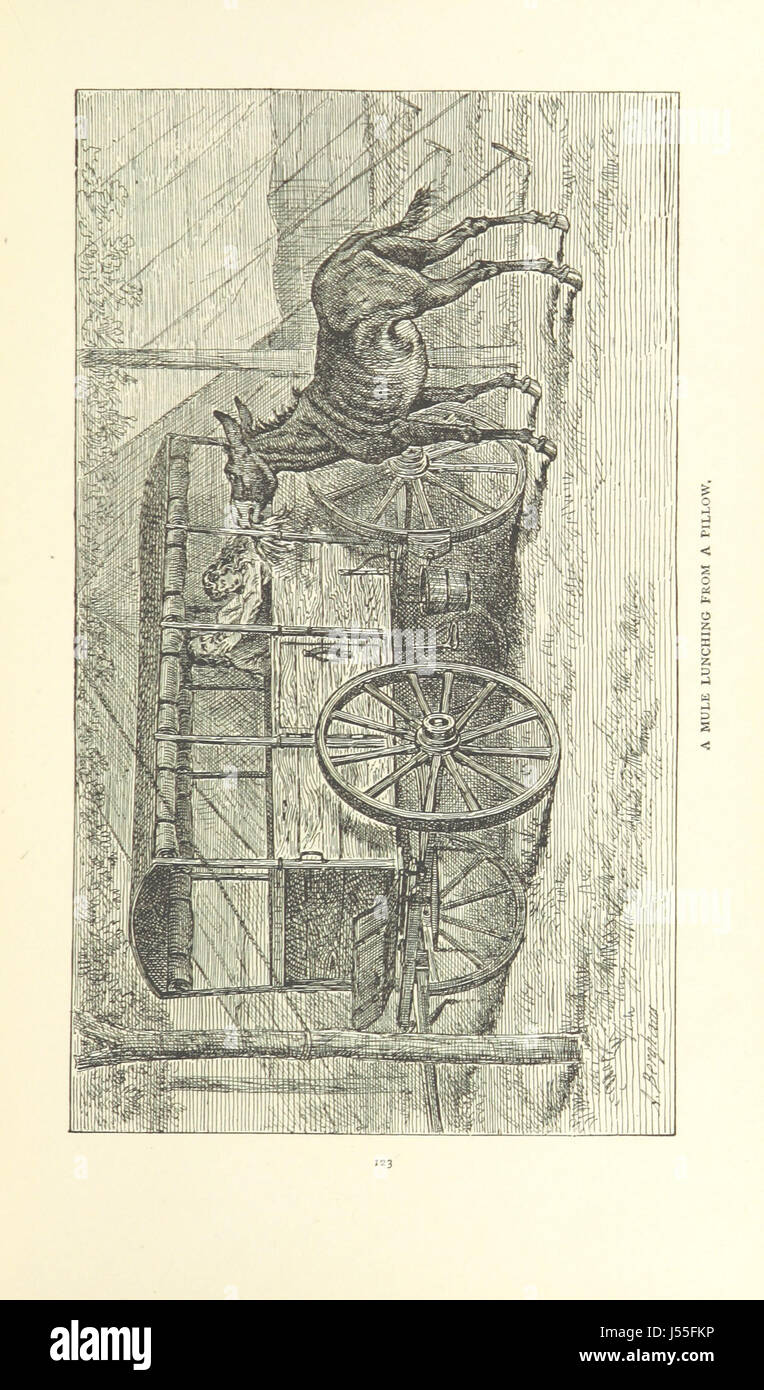 Zelten auf den Ebenen; oder General Custer in Kansas und in Texas. [Mit Abbildungen, darunter Porträts.] Stockfoto