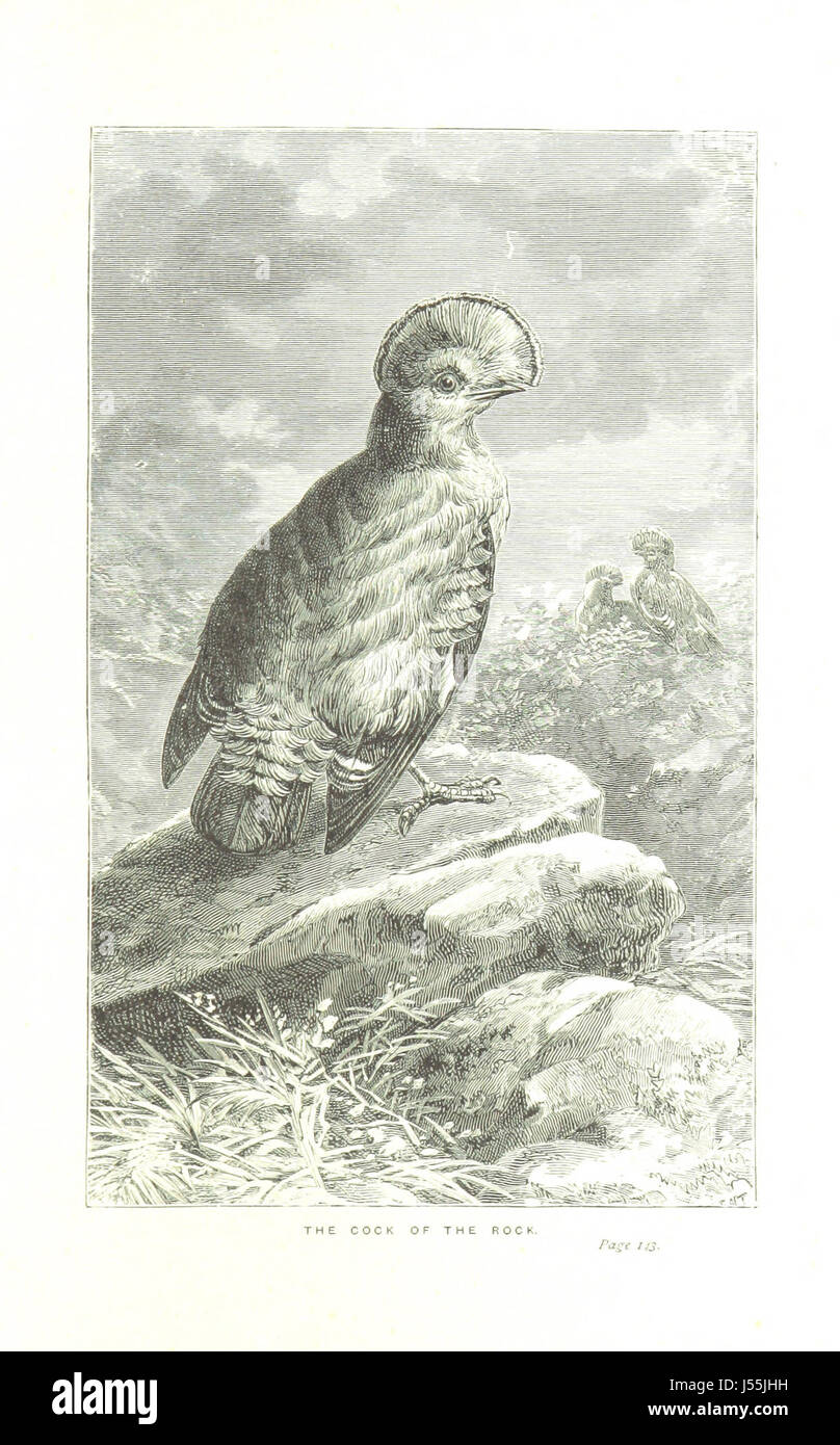 Ein Reisebericht mit dem Titel „Wanderungen in Südamerika“ mit einer Einführung von Norman Moore, der eine Reise durch Südamerika und die Landschaften, Kulturen und Menschen dokumentiert, die unterwegs anzutreffen sind. Stockfoto