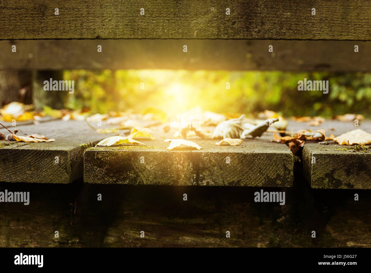 Holzbrücke im Herbst in der herrlichen Sonne Stockfoto