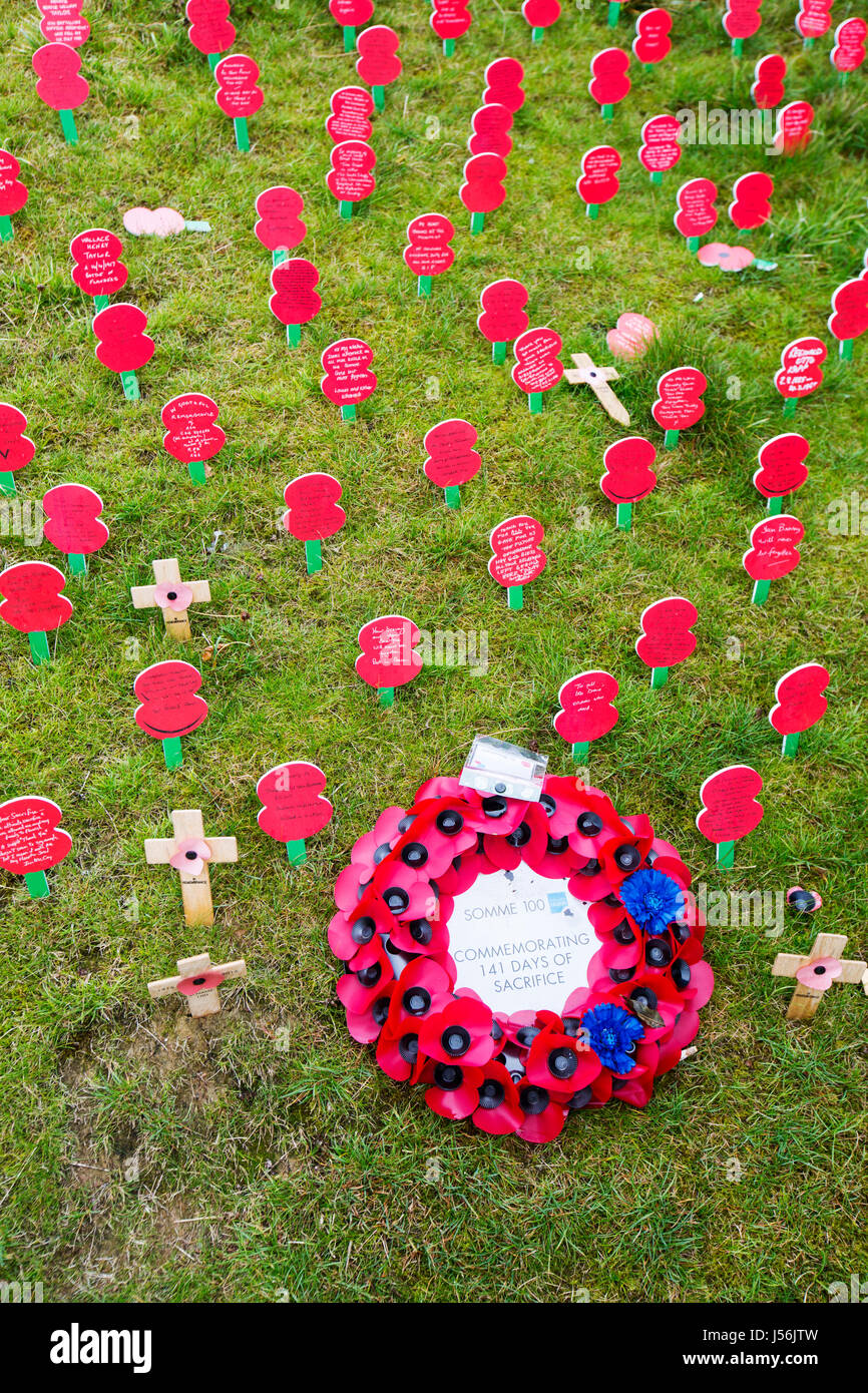 Mohn anlässlich der Centenery von der Schlacht an der Somme bei Thiepval-Denkmal, eine massive Denkmal zum Gedenken an die 72.000 fehlt Soldaten wer d Stockfoto