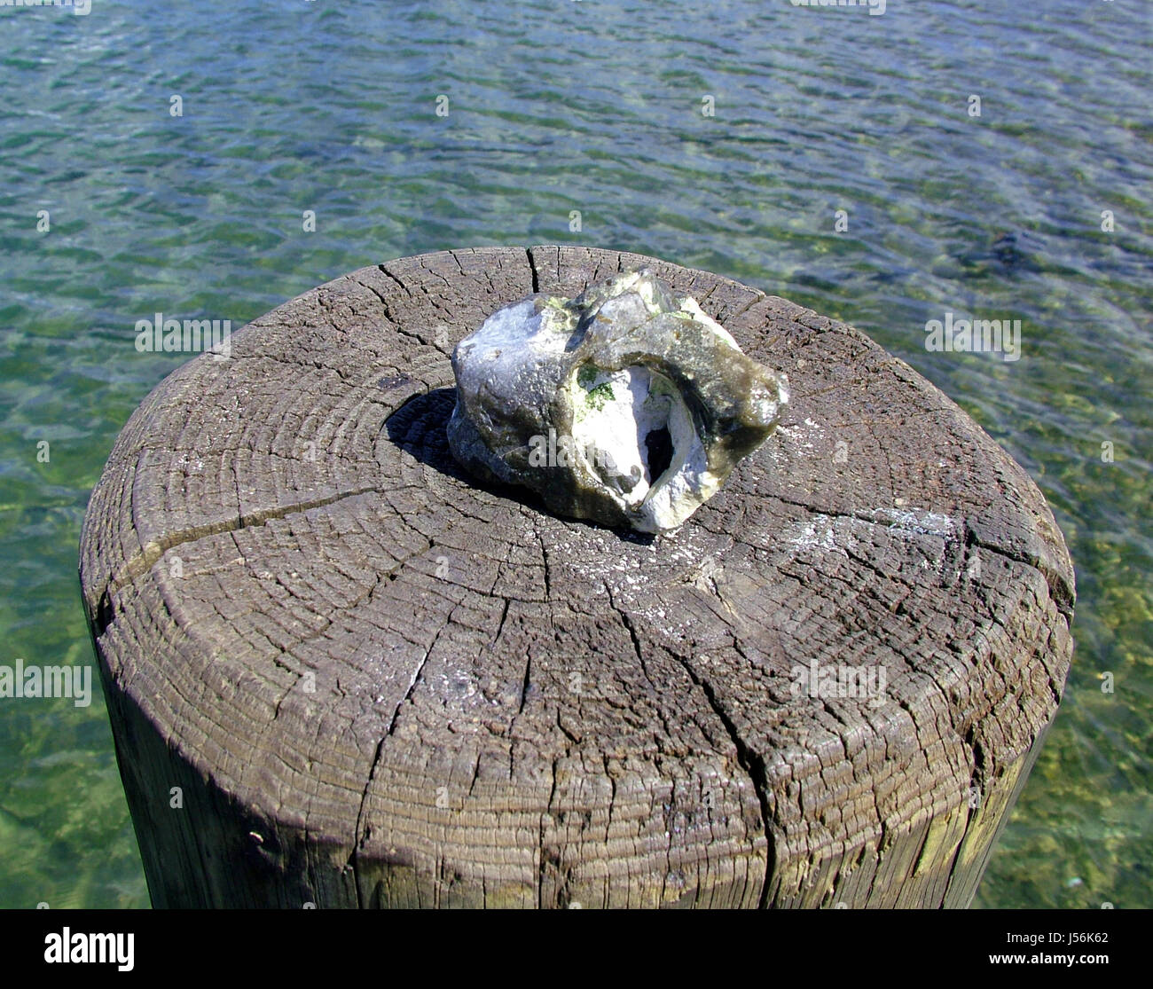 Holz Hafen Wasser Ostsee Salzwasser Meer Ozean Häfen dock Feuerstein Stockfoto