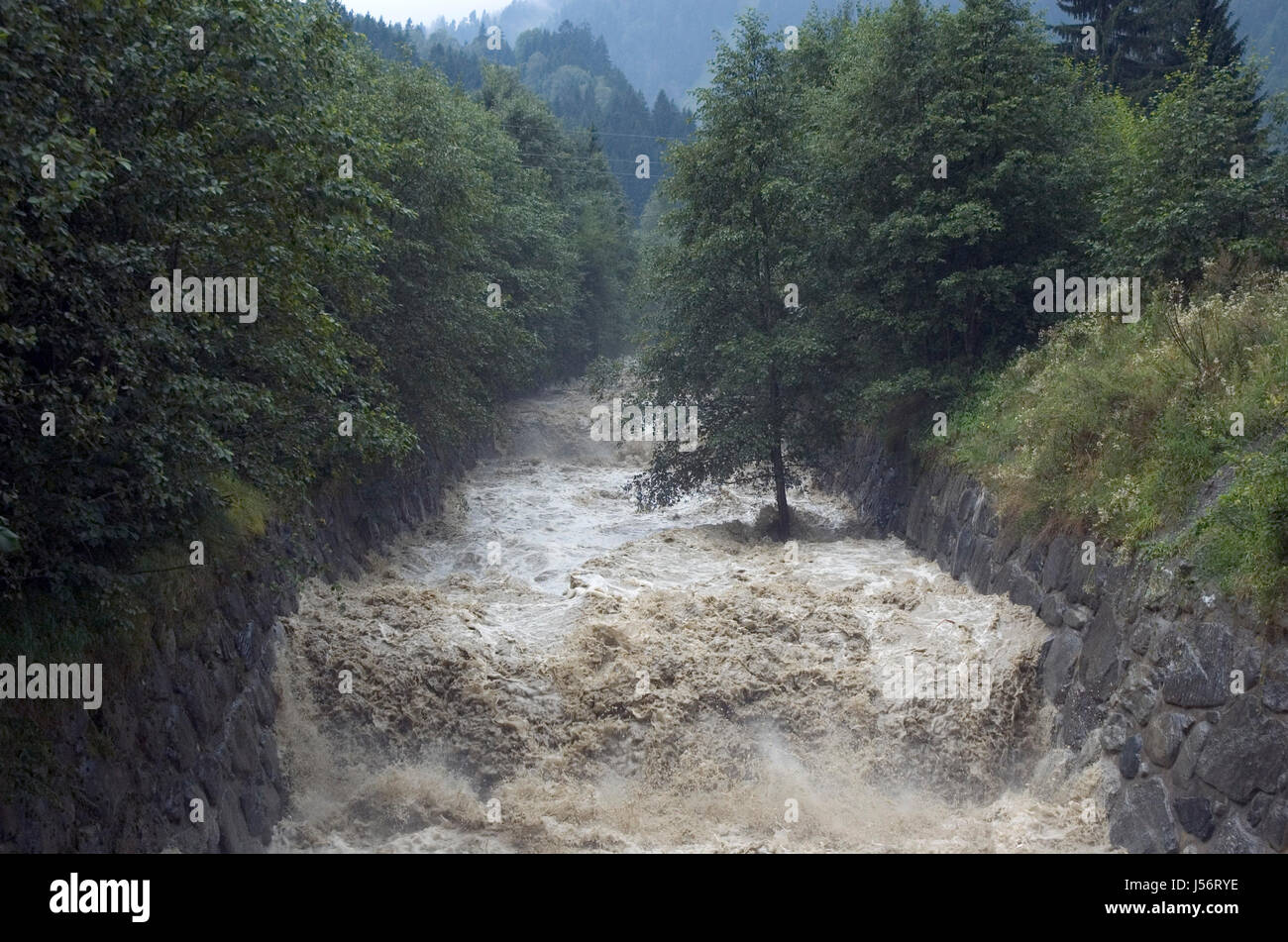 Umwelt-Umwelt-Baum-Alpen streamen Gewitter Schlamm Flut Flut Stockfoto