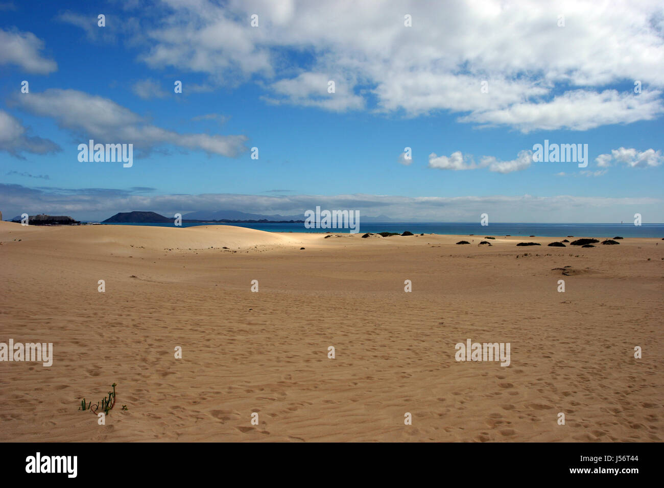 Fuerteventura Stockfoto