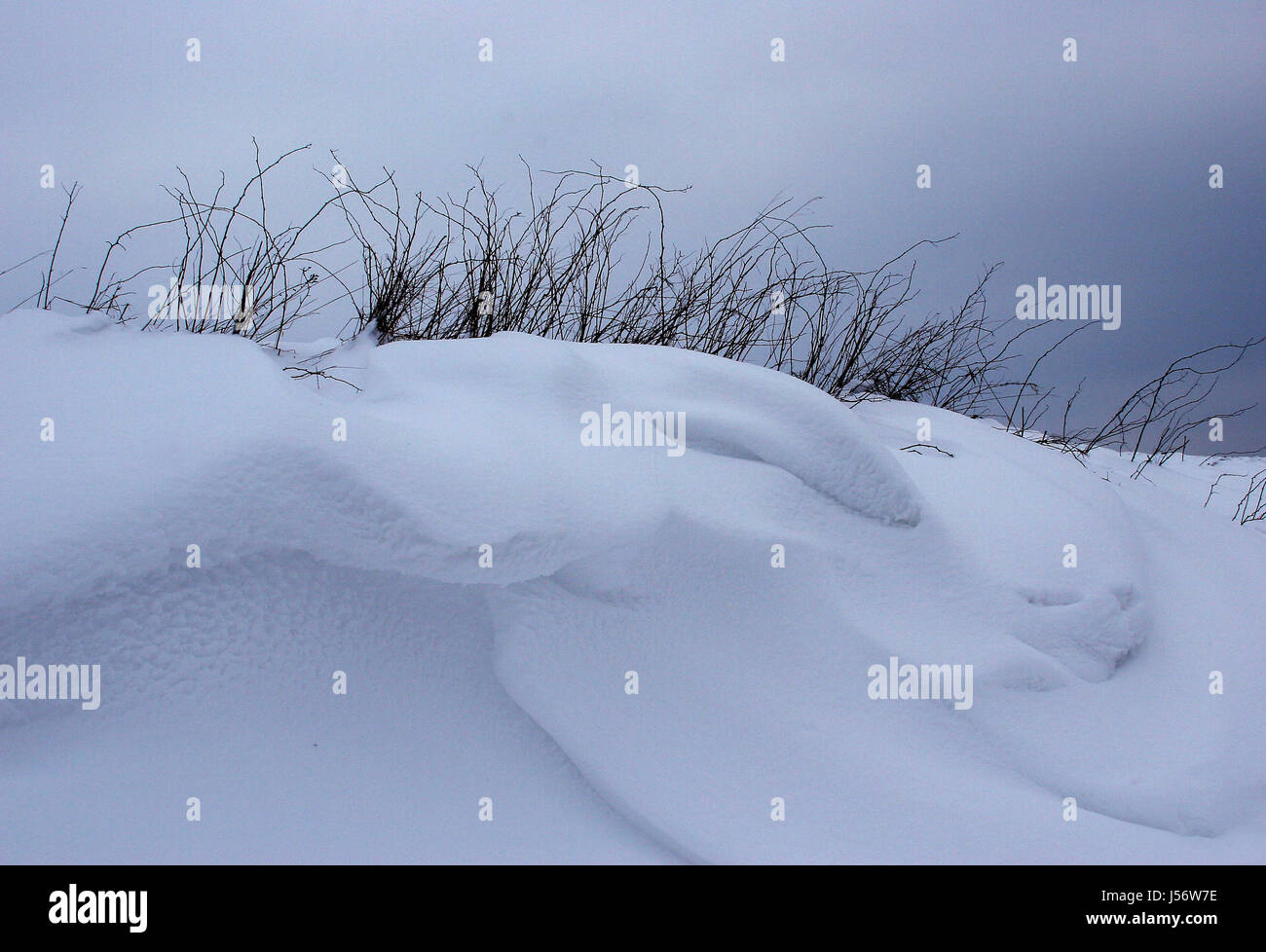 Winter, die kalten verschneiten Gräser Welle winterlichen Eissaison Schnee wegbläst driftet Gesims Stockfoto