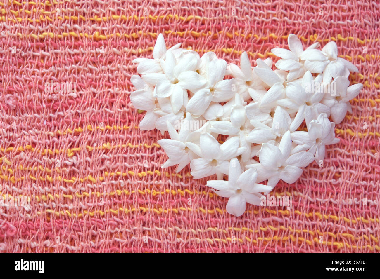 Herzform der Jasminblüte auf dem rosa Stoff-Hintergrund. Stockfoto