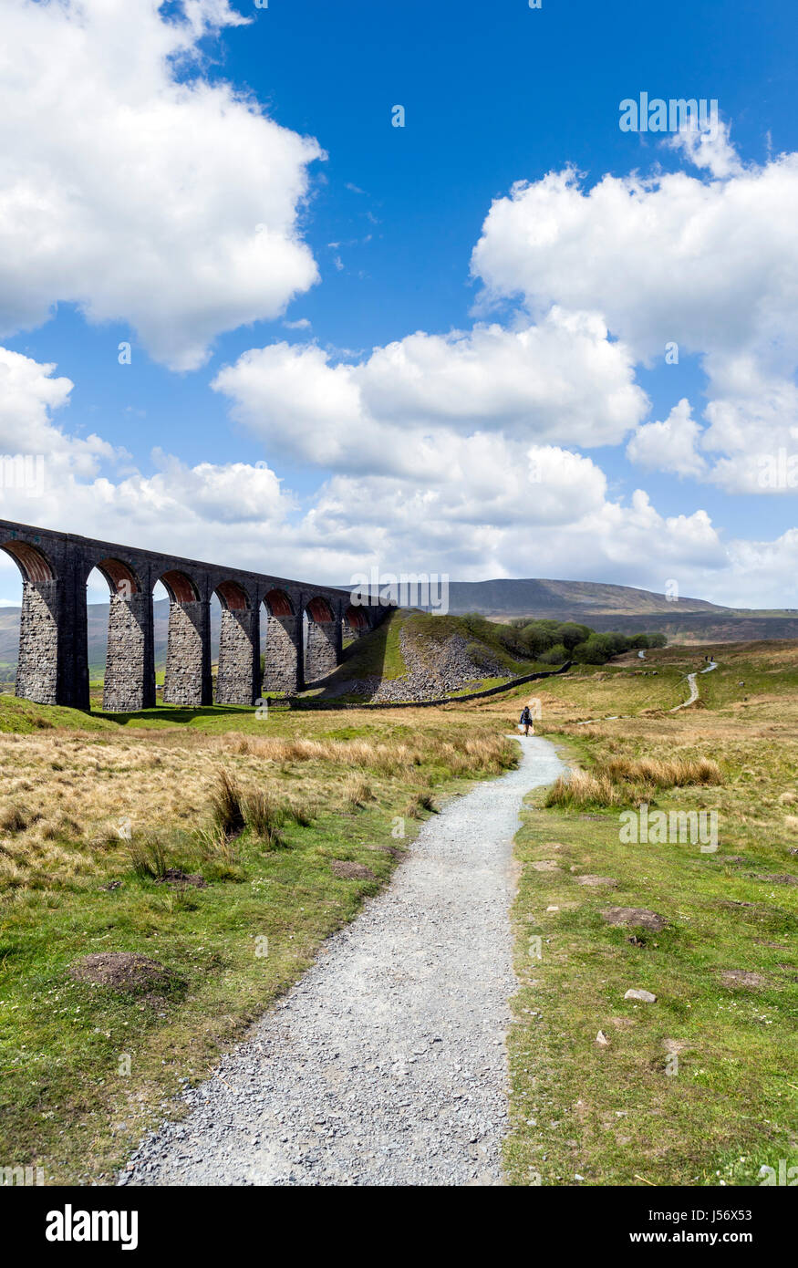 Walker auf Fußweg durch den Ribblehead-Viadukt, Yorkshire Dales National Park, North Yorkshire, England, UK Stockfoto