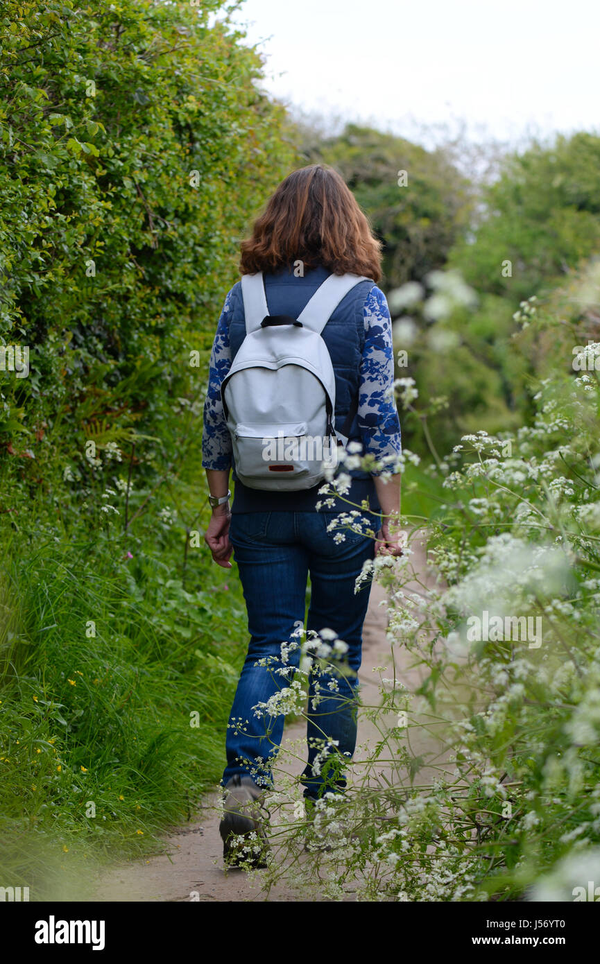 Frau zu Fuß auf kurvigen Hinterland Fußweg an drei Klippen-Gower Swansea Wales Stockfoto