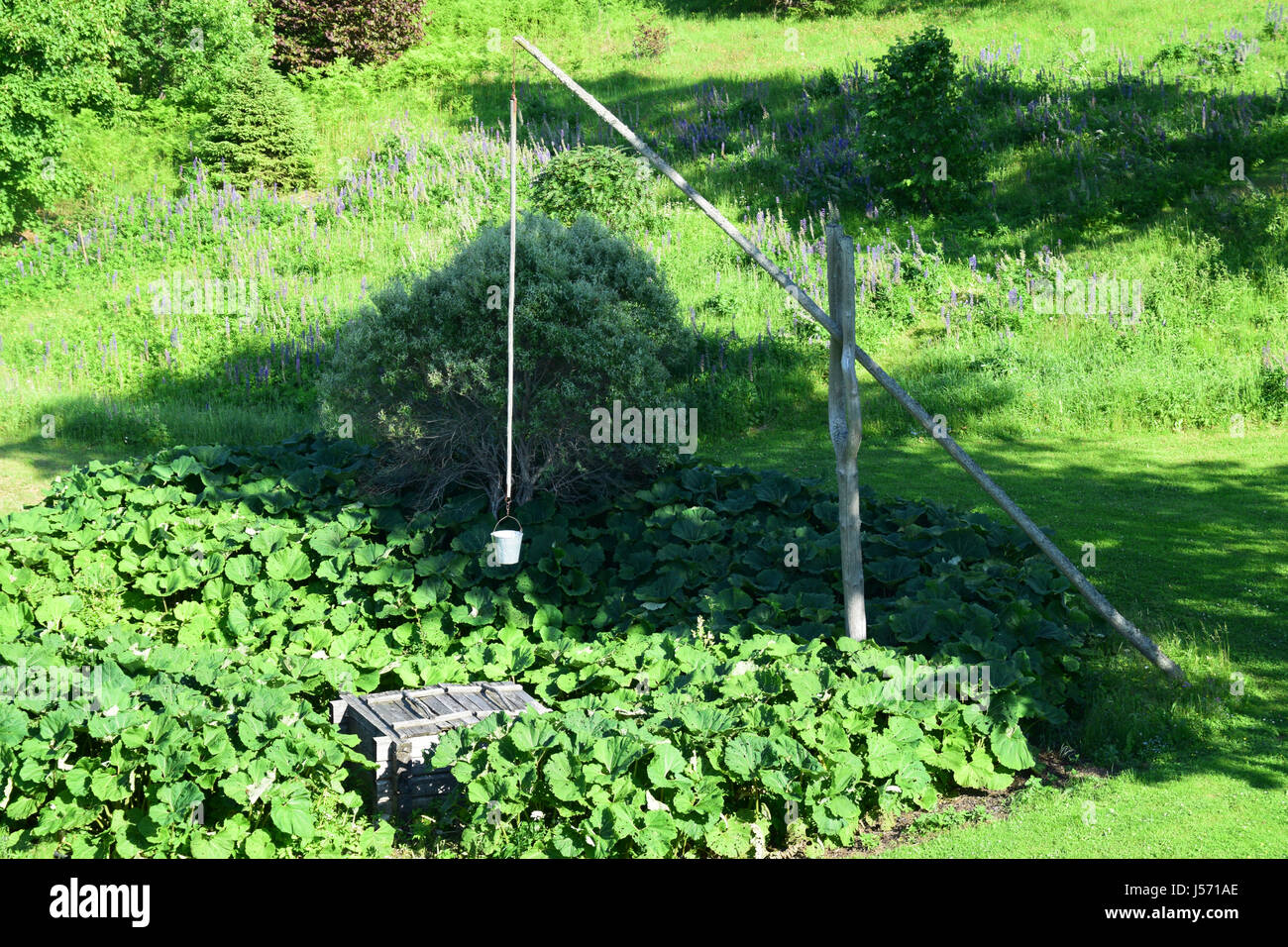 Alten, hölzernen gut auf Land. Stockfoto