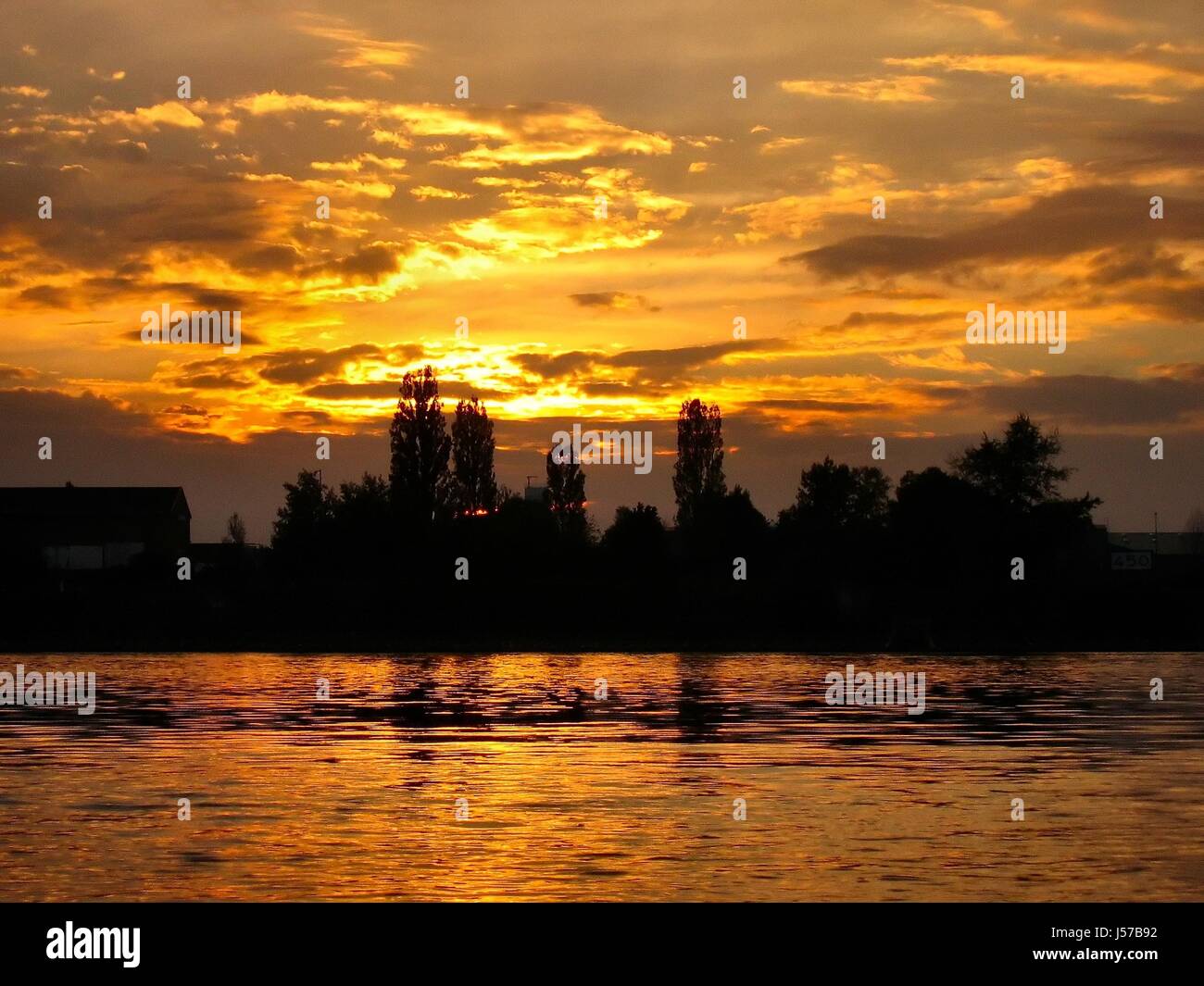 Rhein Sonnenuntergang goldene Silhouette niedlich Firmament Himmel Bank gold Fluss Wasser Wolken Stockfoto