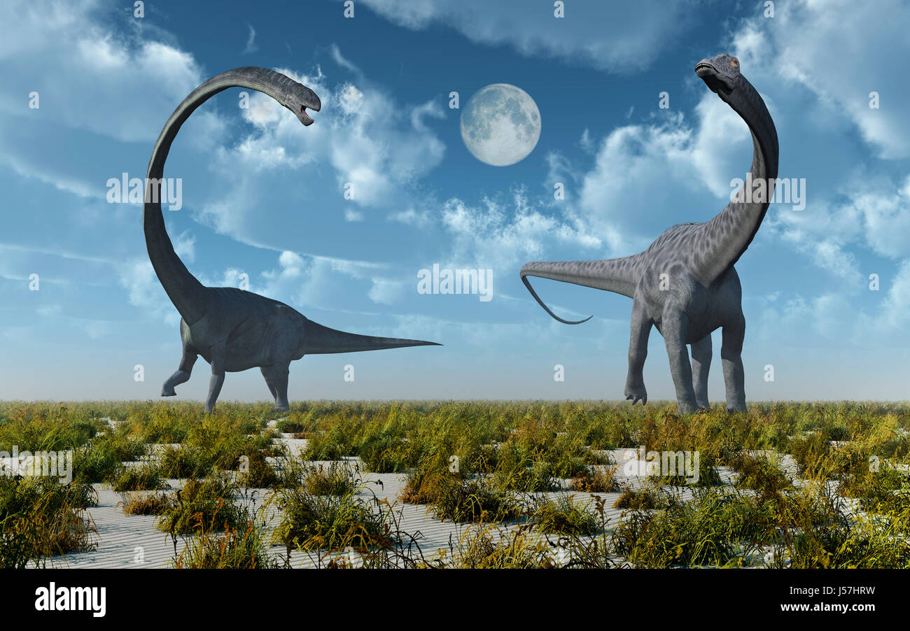 Ein Omeisaurus & Sauropod Dinosaurier Diplodocus Stockfoto