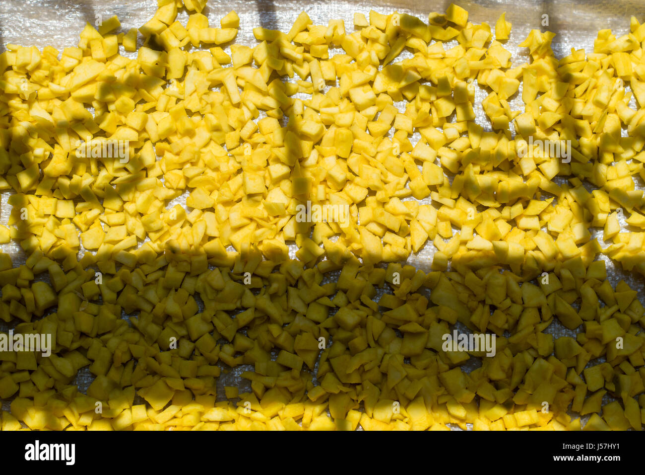 Mango Stücke trocknen in der Sonne für die essiggurken in Indien Stockfoto