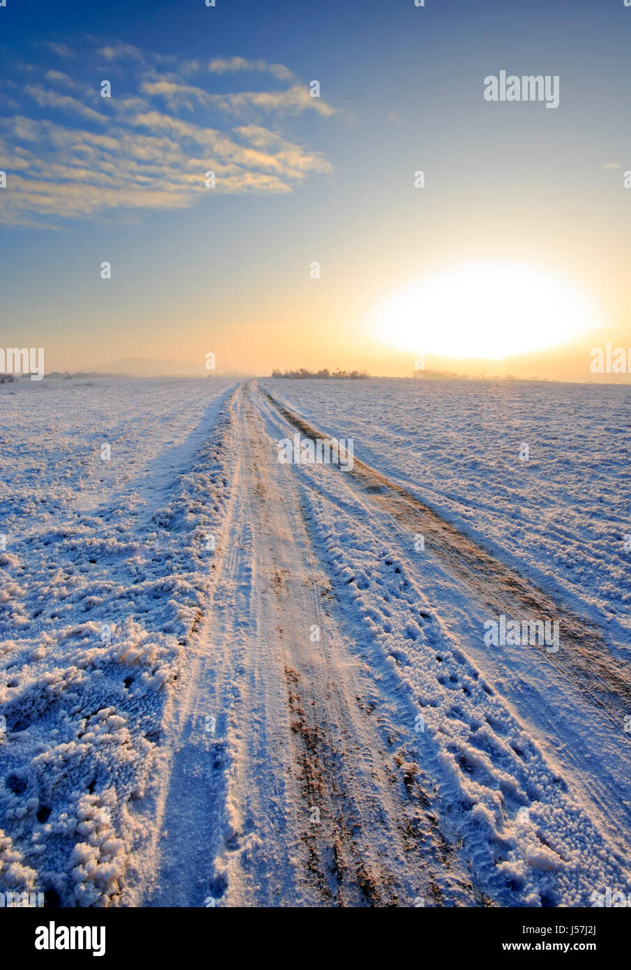 Land-Winter-Straße am klaren Wintermorgen. Polen, Woiwodschaft Świętokrzyskie. Stockfoto