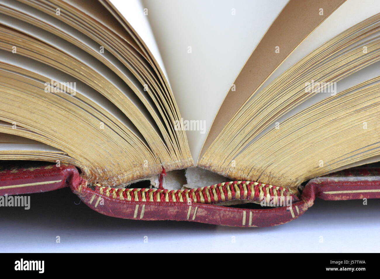 Religion Bücher Daten Informationen Substratums Fakten Informationen Bibelwissen Stockfoto