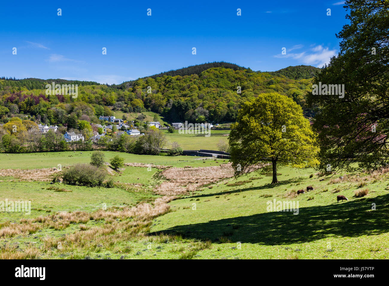 Satterthwaite Dorf, in der Nähe von Hawkshead, Lake District, Cumbria Stockfoto