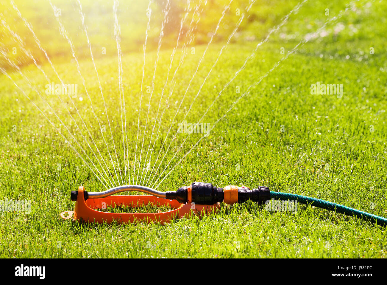 Rasensprenger Kastration Wasser über grünen Rasen-Bewässerungs-system Stockfoto