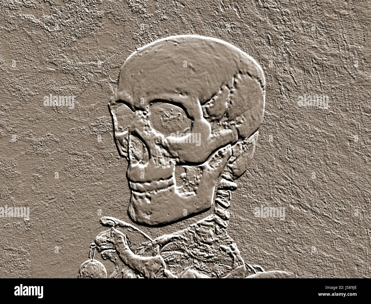 Sepia Tod Schädel Knochen Relief drumherum Pass Keller dummy Biometrie tot Stockfoto